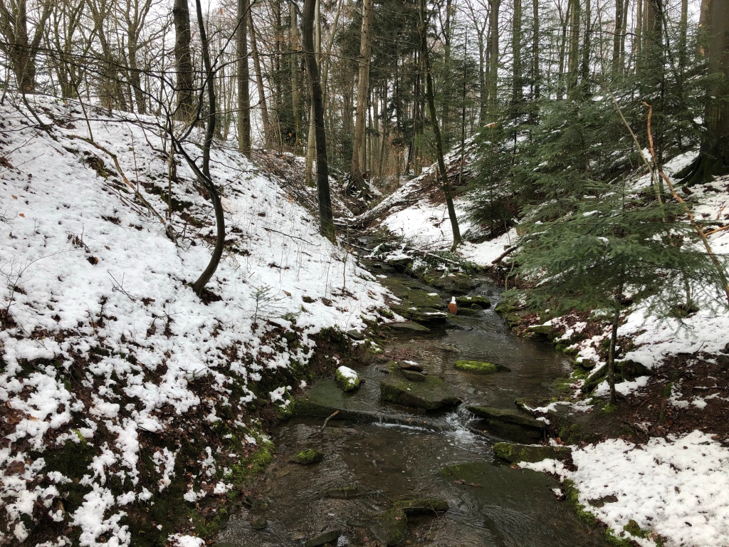 Winter in Beerfelden
